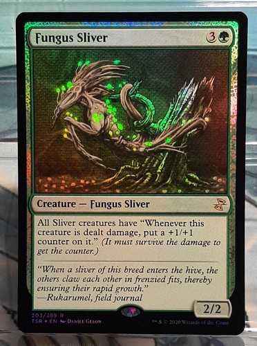 Magic fungus sliver - magic,