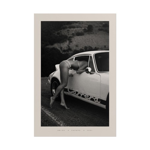 Poster porsche 911 carrera - poster,