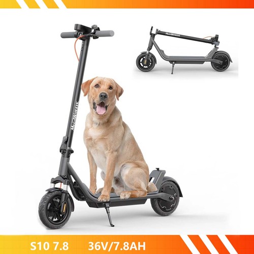 Adult electric scooter - adult,