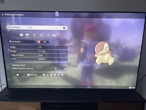 Shiny cyndaquil pokemon - shiny,