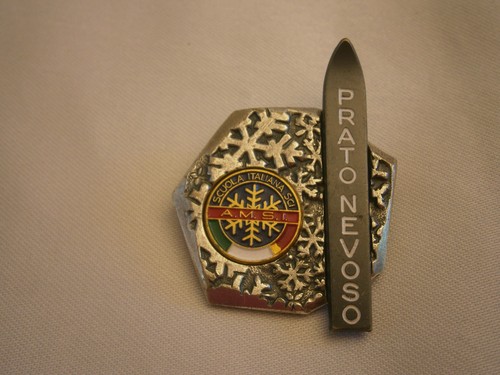 Spilla argento - spilla,