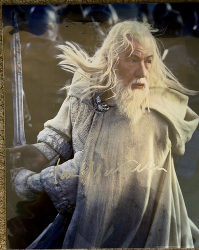 Sir ian mckellen - sir,