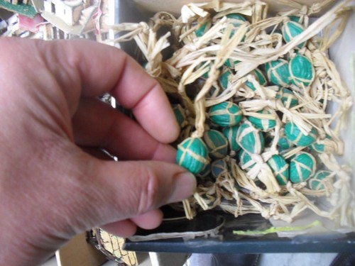 Miniature crib melon - crib,