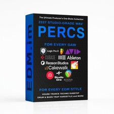 2227 Percussion One Shots