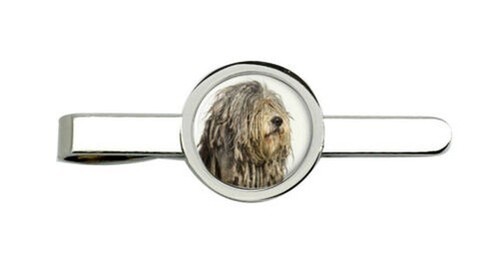 Bergamasco pastore cane - bergamasco,