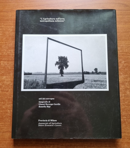 Berengo gardin bigi - berengo, /bigi-