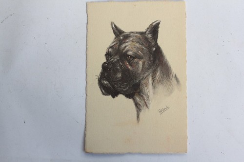 Cpa illustrée gauli - illustrée, chien