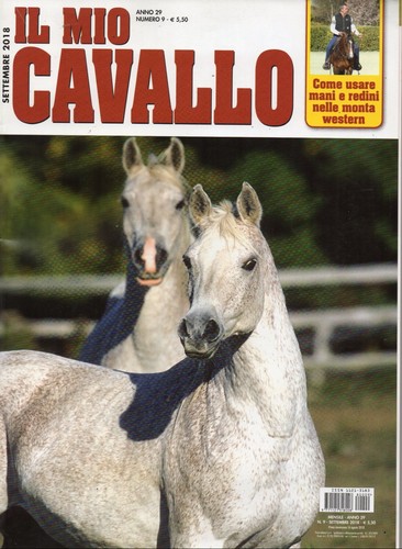 Mio cavallo 2018 - il, 9