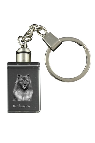 Keeshond wolfsspitz spitz - keeshond,, wolfsspitz,