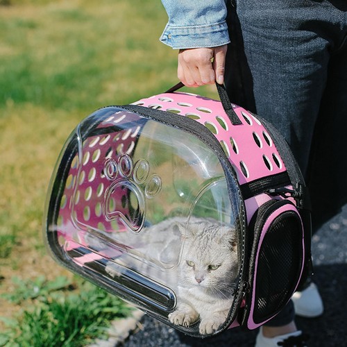 Borsa portatile per - , gatti