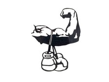 Boxer Boxe Boxe Club Palestra