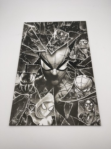 Spider man mico suayan - mico,