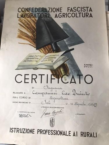 Diploma confederazione