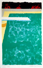 David Hockney - Litografia COA