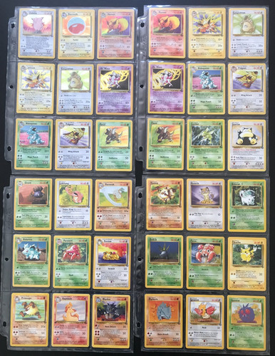 Set completo giungla carte - completo,