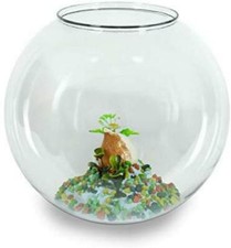 Boccia pesci in plastica