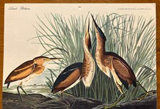 1962 John James Audubon 4 Bird