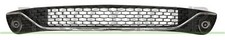 BLACK CENTRAL BUMPER GRILLE