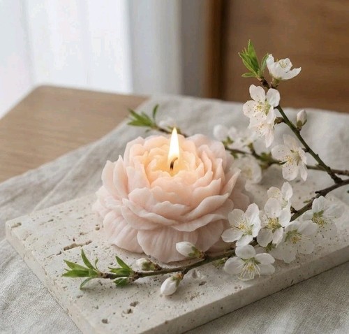 Candele fiore peonia cera di - fiore,