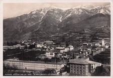 25-7B) CARTOLINA PEROSA