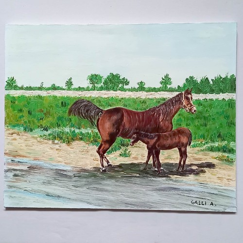 157 quadro cavalli olio - 157,