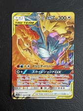 2019 Pokemon ARTICUNO ZAPDOS