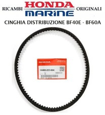 CINGHIA DISTRIBUZIONE