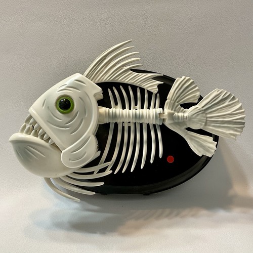 Scheletro pesce cantato - scheletro,