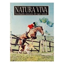 Natura Viva anno I n 17 del 23