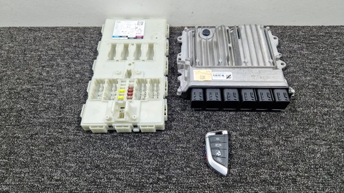 Set ecu motore - ecu, competizione