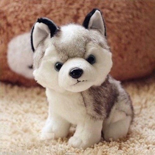 Peluche cane - 18,