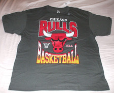 Chicago Bulls Graphic Logo