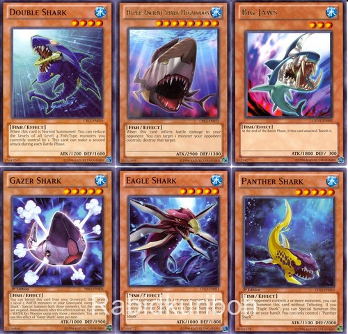Set squalo yugioh grandi - yugioh,
