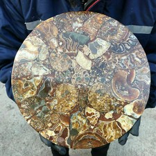 TOP! Disco di ammonite