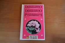 Piante verdi d'appartamento