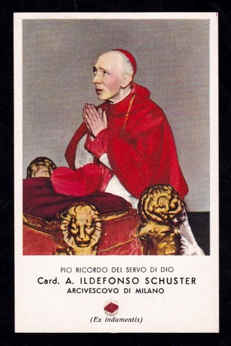 Card a ildefonso - card.,