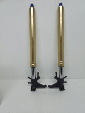 COPPIA STELI FORCELLA SUZUKI