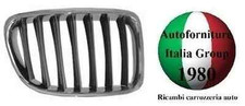 GRIGLIA RADIATORE SX