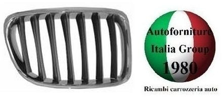 Griglia radiatore - griglia,