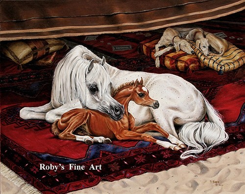 Stampa bedouin breeze - stampa, "bedouin