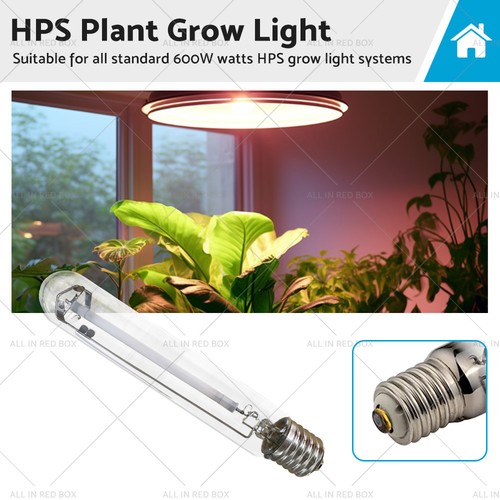 Lampadina coltivazione 600w - lampadina, da