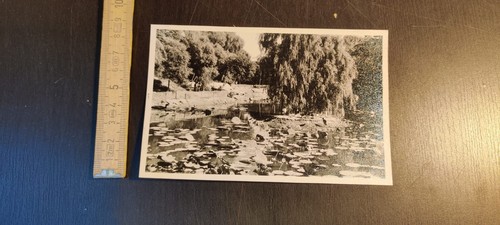 Foto storica vintage pechino - foto,