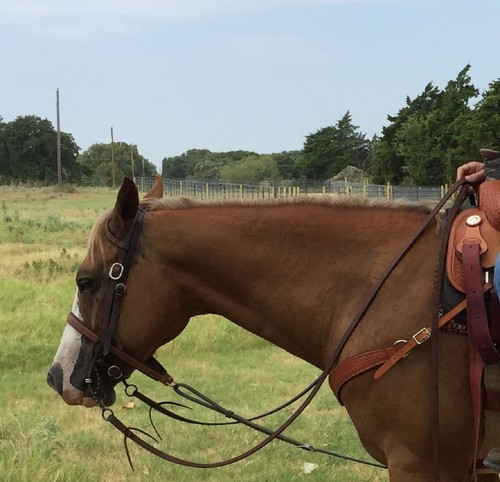 Redini divise cowboy