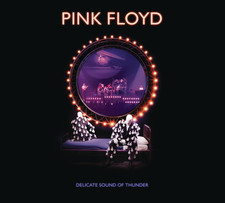 Delicate Sound of Thunder -