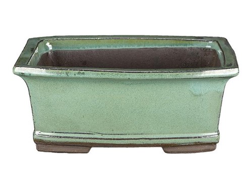 Vaso per bonsai rettangolare
