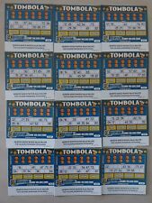 GRATTA E VINCI TOMBOLA MIMI 12