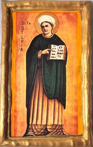 Santa silvia rara targa - silvia,