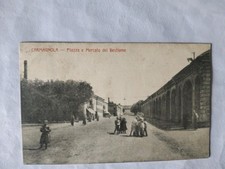 CARMAGNOLA Torino - Piazza e Mercato del Bestiame fp v.ta 1910