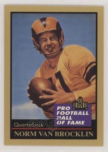 1991 enor pro football hall - football, of