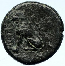 Peltai frigia autentica - frigia,